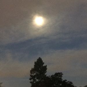 Meet your Posher, Mairani